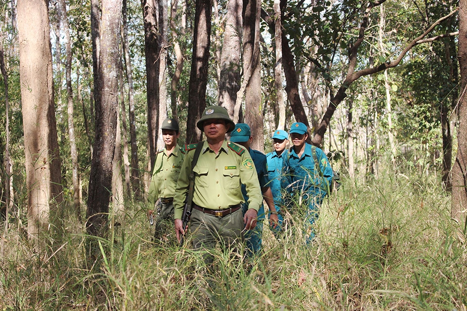 Lực lượng tự vệ phối hợp kiểm lâm Vườn Quốc gia Yok Đôn tuần tra bảo vệ rừng.