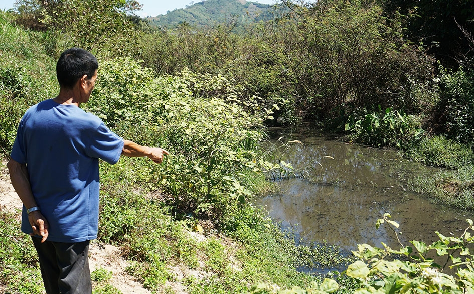 Nước thải từ lò mổ chảy xuống suối Krông Kmar gây ô nhiễm môi trường. 