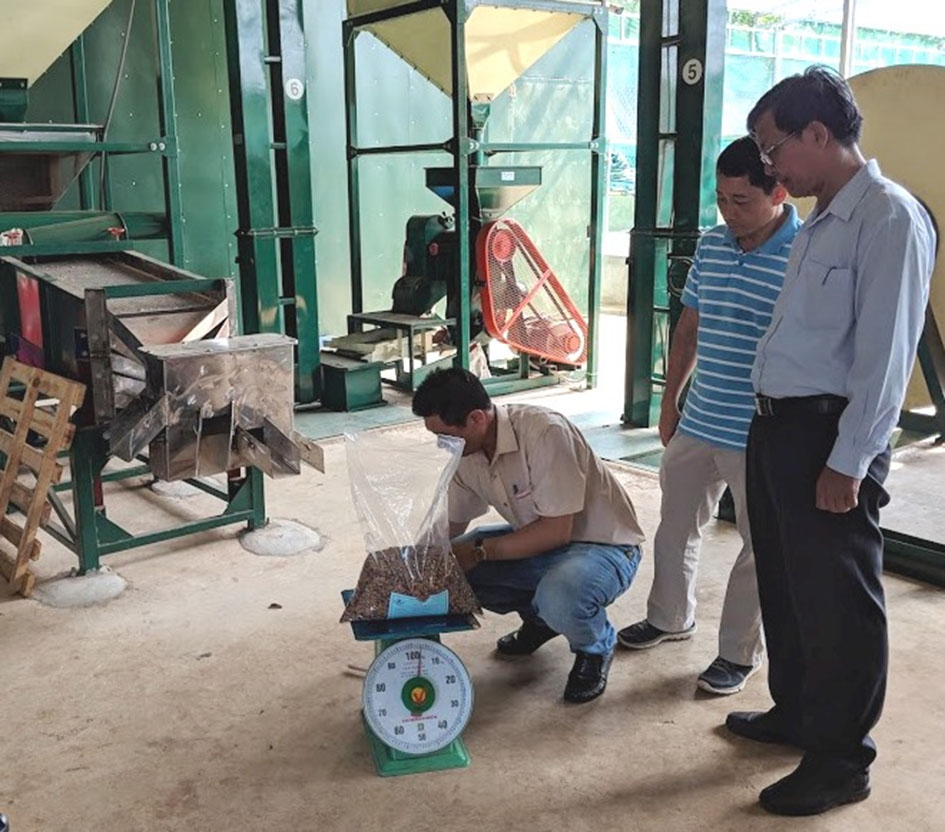 Lấy và niêm phong mẫu cà phê tham dự Cuộc thi Cà phê đặc sản Việt Nam 2019 tại Công ty TNHH MTV MINUDO Farm-Care. 
