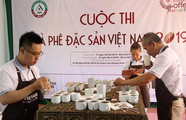 Các Ban giám khảo thử nếm cà phê tại Cuộc thi