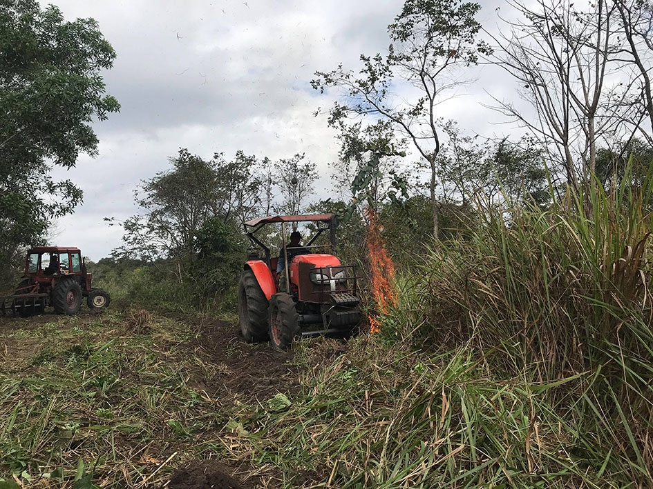 Thi công đường băng cản lửa ở Khu Bảo tồn thiên nhiên Ea Sô. 