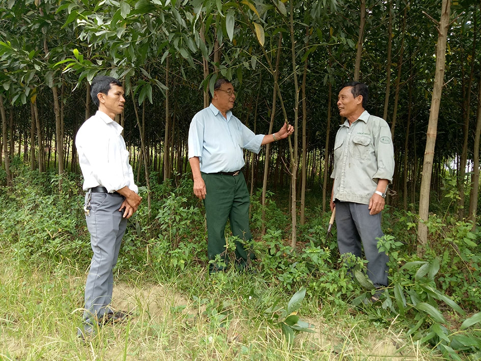 Ông Trần Đình Chính ở tổ dân phố 11, thị trấn M'Đrắk (bìa phải) đi đầu trong phong trào phát triển kinh tế  ở địa phương.   