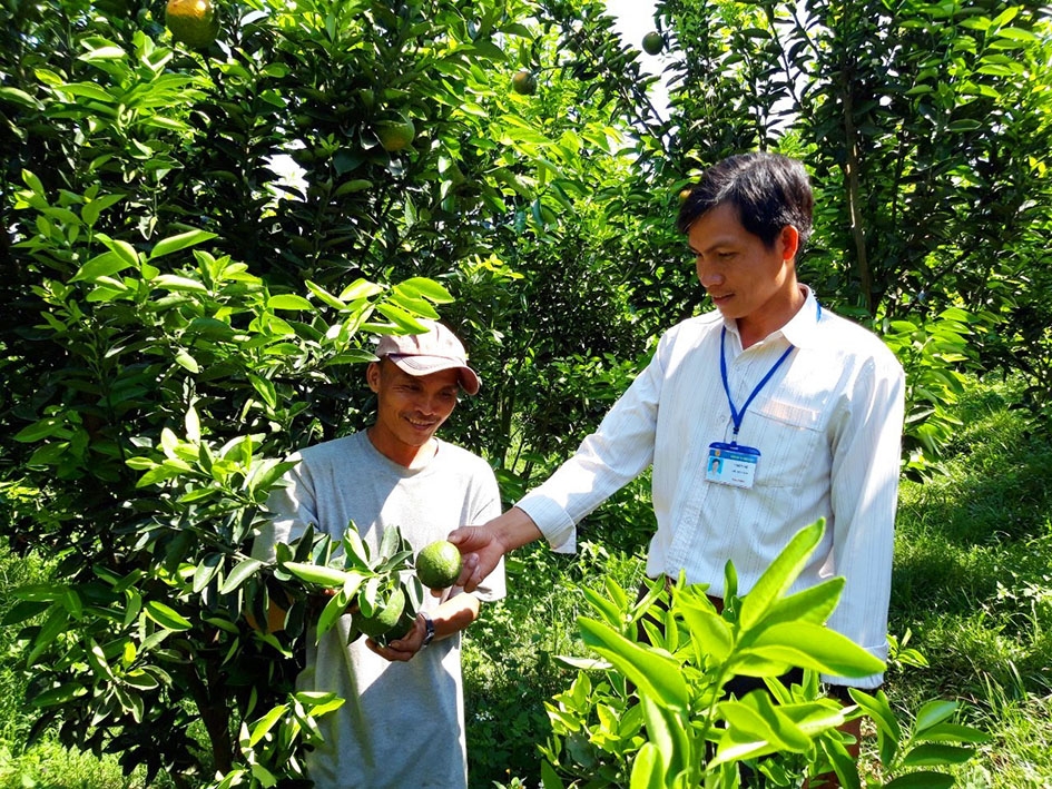 Cán bộ Hội Nông dân xã Đray Sáp (phải) đến tham quan mô hình trồng cam của anh Nguyễn Hoài Nam.  