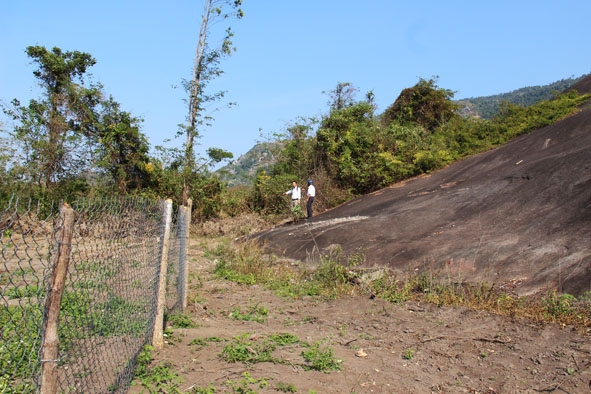 Phần ranh giới giữa đá Voi và đất nông nghiệp của gia đình ông Tân đã được rào lại bằng lưới B40 và dây kẽm gai.