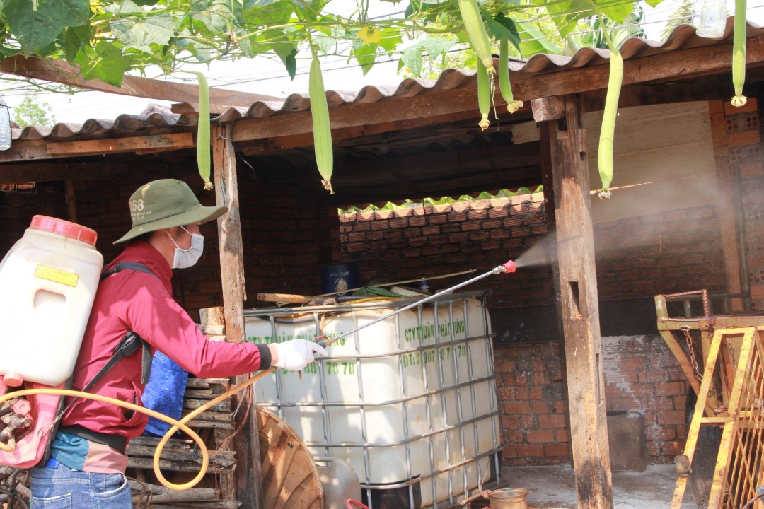 Lực lượng chức năng huyện Cư Kuin phun hoá chất tiêu độc khử trừng tại một hộ dân có heo mắc bệnh lở mồm, long móng