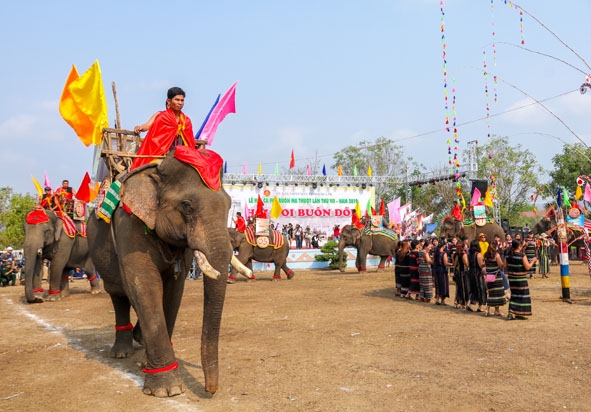 Những chú voi diễu hành đón chào du khách tham dự ngày Hội.