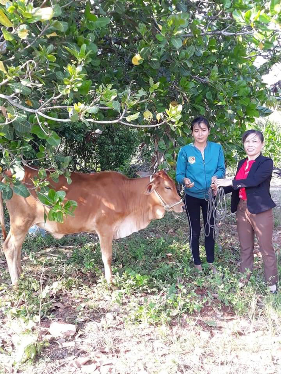 Chị Nguyễn Thị Dũng (phải) trao tặng bò sinh sản cho chị Đàm Thị Xuyên ở thôn 5, xã Ea Kmút, huyện Ea Kar.