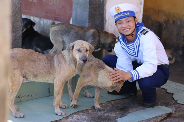 Những chú chó là 