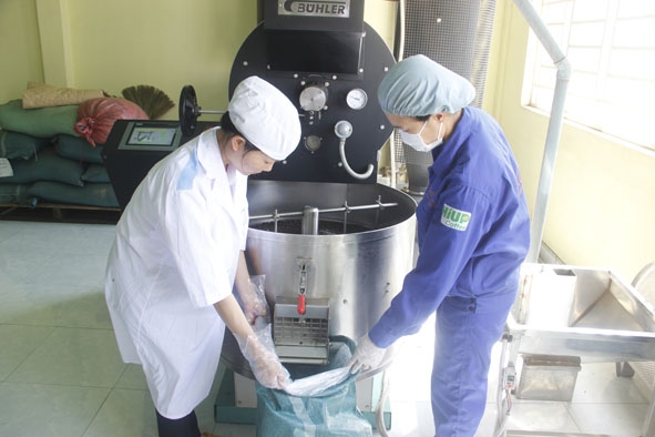 Phân xưởng chế biến cà phê xuất khẩu của Công ty TNHH Đầu tư và phát triển An Thái.  