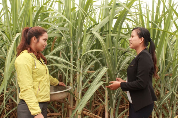 Cán bộ buôn Mlốc B,  xã Krông Jing, huyện M'Đrắk (phải) kiểm tra tình hình sử dụng vốn vay ưu đãi  của người nghèo trong buôn.  