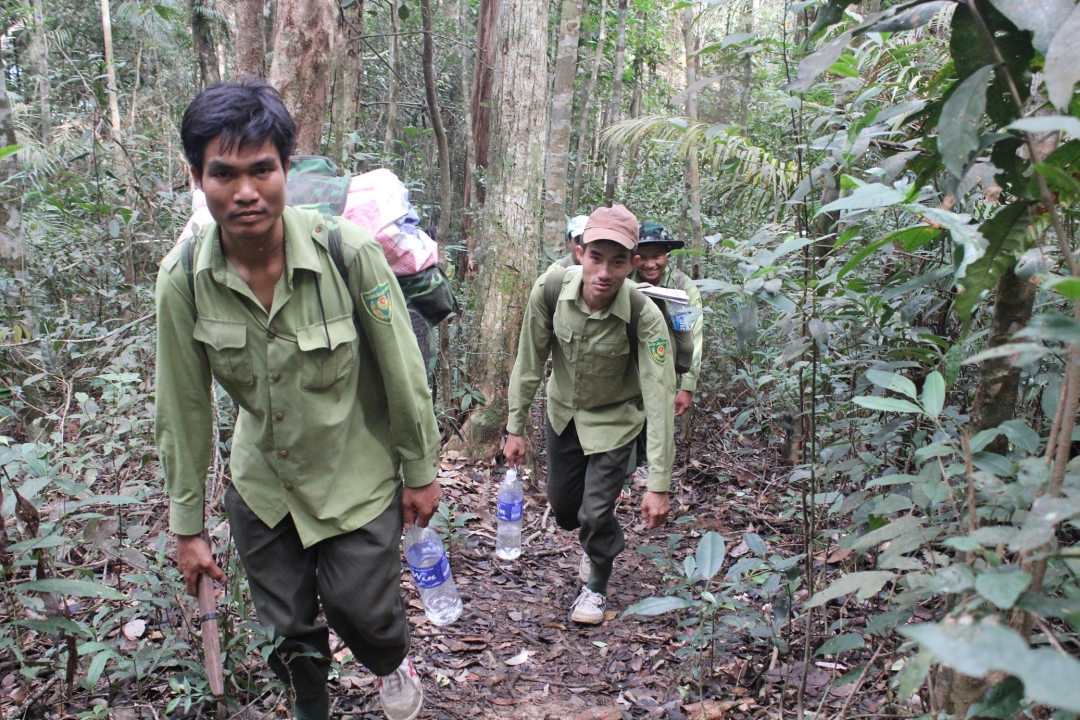 Lực lượng kiểm lâm Vườn Quốc gia Chư Yang Sin tuần tra bảo vệ rừng