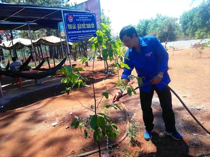 Đoàn viên thanh niên chăm sóc, tưới nước cho cây sao đen tại xẫ Cư Né