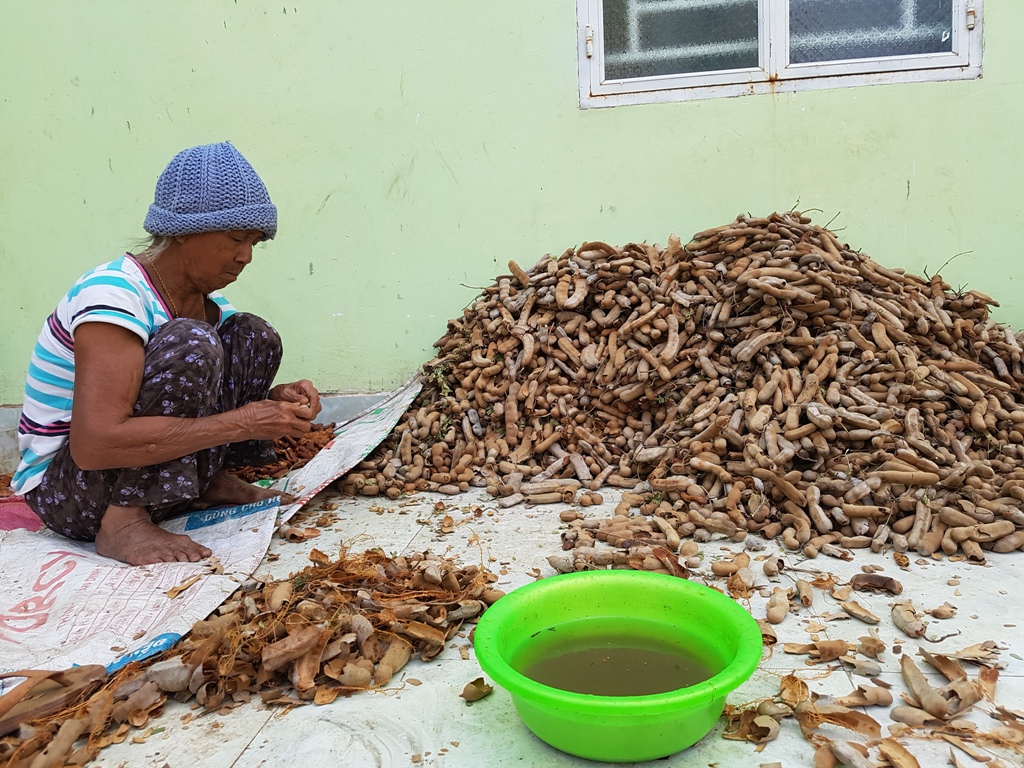 Lột me thuê - công việc mang lại thu nhập cho nhiều phụ nữ ở Buôn Đôn.