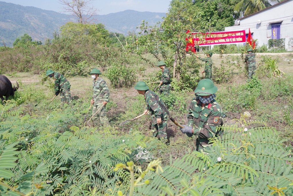 Cán bộ, chiến sĩ lực lượng vũ trang huyện tham gia diệt trừ cây mai dương trên địa bàn xã Hòa Sơn