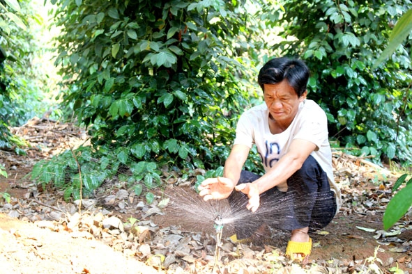 Ông Trần Ngọc Nguyên (xã Ea Nuôl, huyện Buôn Đôn) sử dụng mô hình tưới nước tiết kiệm.