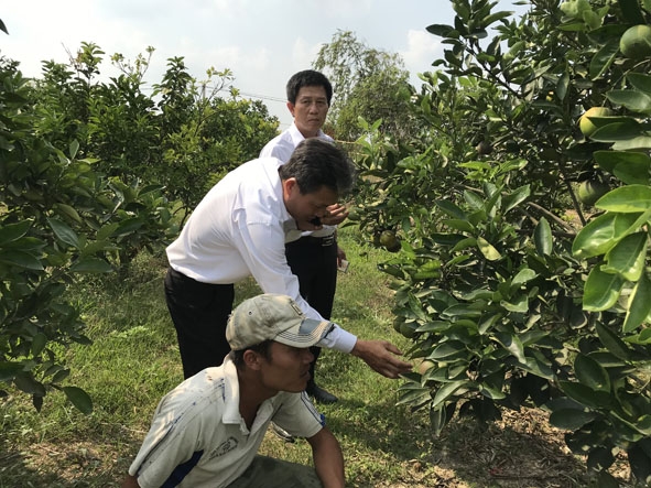 Cán bộ Ngân hàng NN-PTNT Chi nhánh Đắk Lắk kiểm tra hiệu quả vốn vay của một khách hàng tại huyện Ea Kar. 