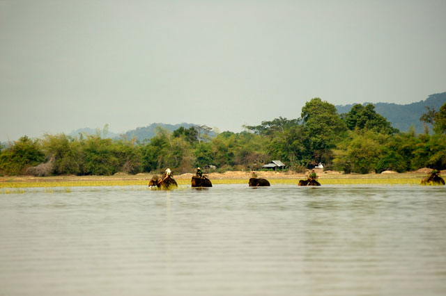 Hoạt động...