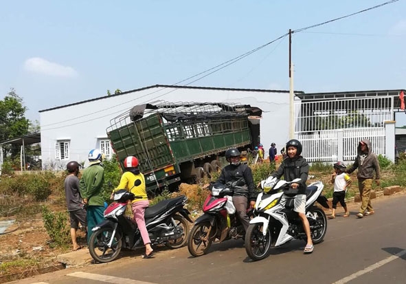 Hiện trường vụ xe container tự gây tai nạn tại xã Cư M'gar. 