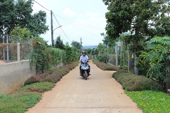 Diện mạo thôn 9, xã Pơng Drang ngày càng khởi sắc.