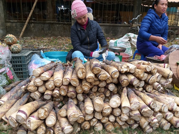 Măng vầu - nguyên liệu để làm nên món nem măng. 