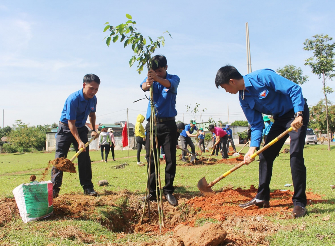 Đoàn viên thanh niên tham gia trồng cây tại thị trấn Liên Sơn, huyện Lắk trong Chiến dịch TNTN hè 2019. 