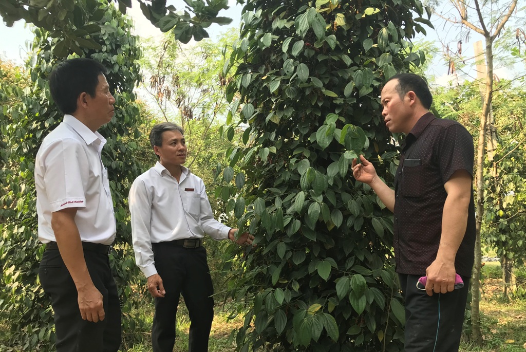 Cán bọ Ngân hàng NN-PTNT Chi nhánh Đắk Lắk kiểm tra hiệu quả vốn vay của một khách hàng tại huyện Ea Kar