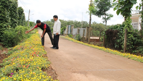 Con đường hoa nông thôn mới ở xã Quảng Hiệp (huyện Cư M'gar).