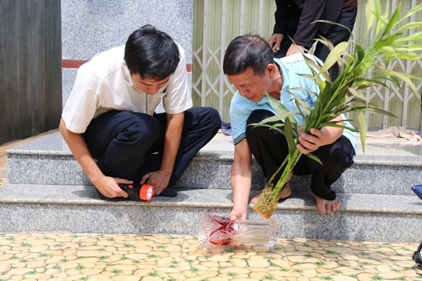 Cán bộ y tế hướng dẫn người dân tìm và xử lý nơi muỗi thường đẻ trứng. 