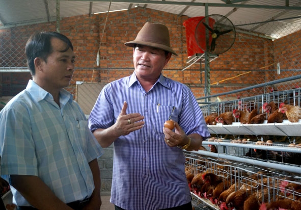 Ông Giáo (bên phải) giới thiệu về mô hình nuôi gà siêu trứng.   