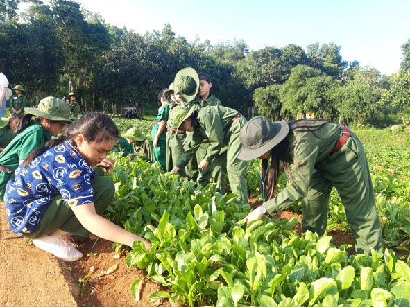 Các “chiến sĩ nhí” trải nghiệm tăng gia sản xuất.  