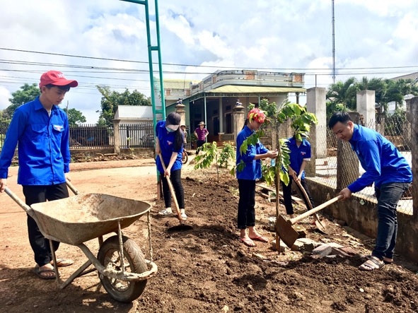 Đoàn viên Chi đoàn thôn 2B (xã Ea Wy) trồng cây xanh quanh khuôn viên hội trường thôn.