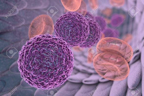 Virus Dengue  - thủ phạm gây bệnh sốt xuất huyết