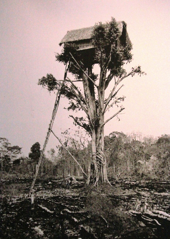  Ngôi nhà trên ngọn cây.     Ảnh: Jean - Marie Duchange