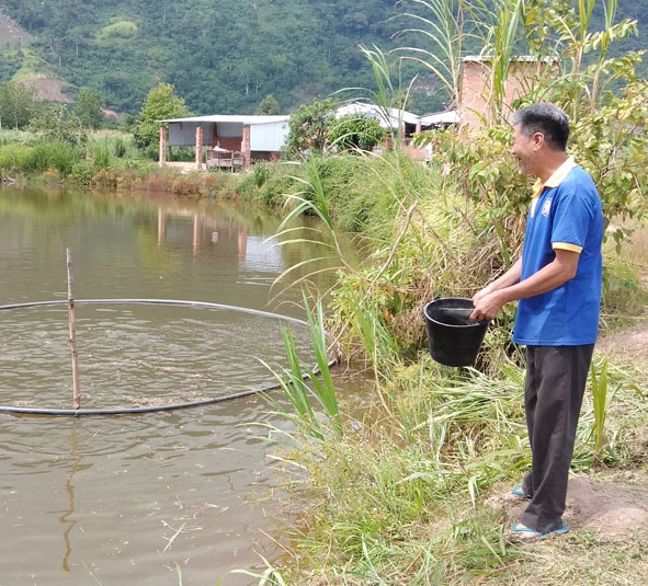 Ao cá rộng 2.000 m2 trong trang trại của ông Hòa.   