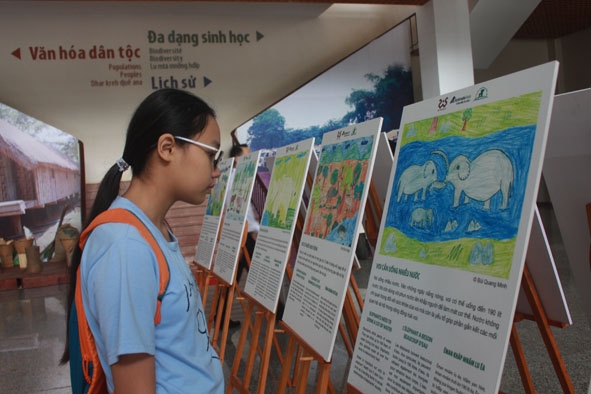 Các bức tranh với chủ đề 