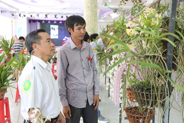 Thành viên CLB hoa lan huyện Krông Ana trao đổi, chia sẻ kinh nghiệm trồng và chăm sóc lan. 