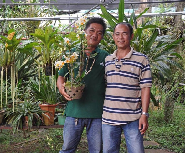 Thành viên CLB hoa lan huyện Krông Ana tặng cho nhau những giò lan yêu thích. 