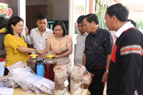 Sản phẩm của Hợp tác xã Nấm linh chi và Dịch vụ nông nghiệp Krông Ana tại một hoạt động xúc tiến thương mại sản phẩm HTX.  