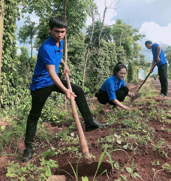 Bí thư Đoàn xã Hòa Xuân Bạch Văn Mỹ (bìa trái) cùng đoàn viên thanh niên cải tạo đất  để trồng hoa ven đường.  