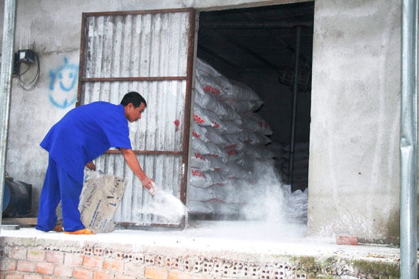Anh Nguyễn Minh Tân rắc vôi diệt khuẩn khu vực chứa thức ăn cho heo.