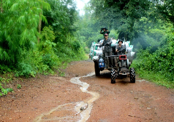 Nông dân chở bắp trái từ rẫy về.