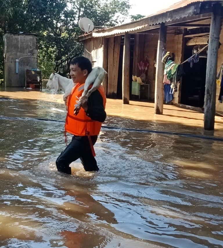 Di chuyển tài sản đến nơi an toàn