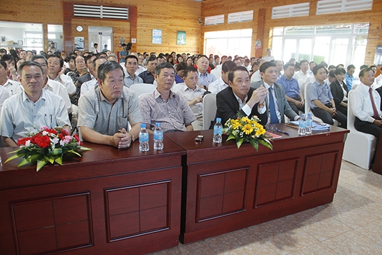 Quang cảnh hội nghị