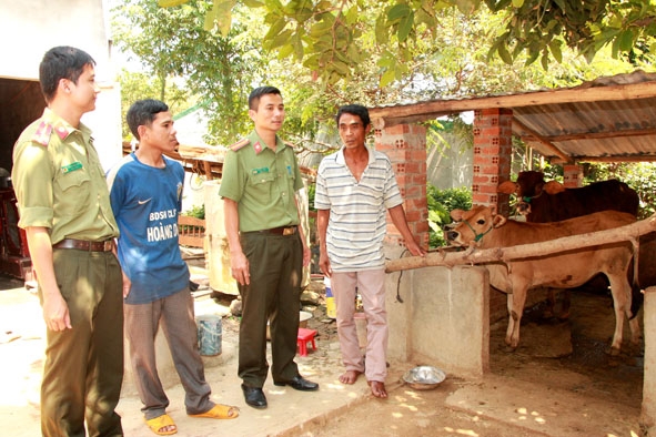 Gia đình ông Y Khăm Niê Kdăm ở buôn Ea Sar (xã Ea Sar) được Công an huyện Ea Kar hỗ trợ bò phát triển sản xuất. 