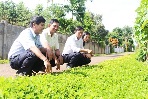 Mô hình con đường hoa do hội viên nông dân thôn 7, xã Ea Ktur, huyện Cư Kuin xây dựng.