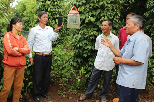 Ông Trần Viết Hà đang hướng dẫn cách diệt ruồi vàng cho người dân. 