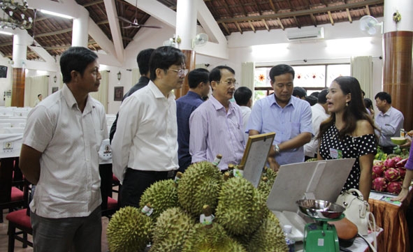 Sầu riêng của Đắk Lắk được trưng bày giới thiệu tại hội nghị về sản xuất cây ăn quả gắn với thị trường tiêu thụ  của Bộ NN-PTNT.  