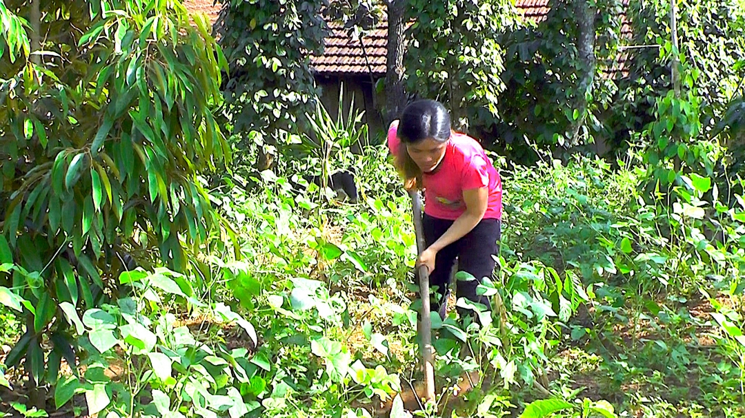 Sau ngày chồng mất, cuộc sống của gia đình chị Hường chật vật hơn rất nhiều. 