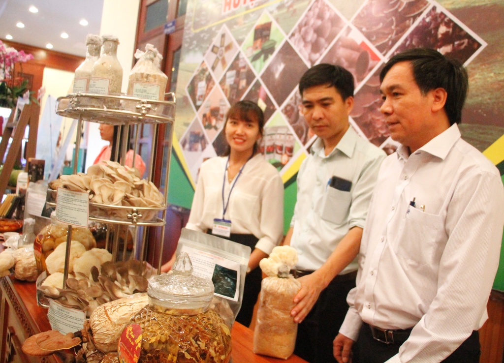 Sản phẩm nấm huyện Krông Ana trưng bày tại Hội nghị tổng kết 10 năm thực hiện Chương trình xây dựng nông thôn mới 