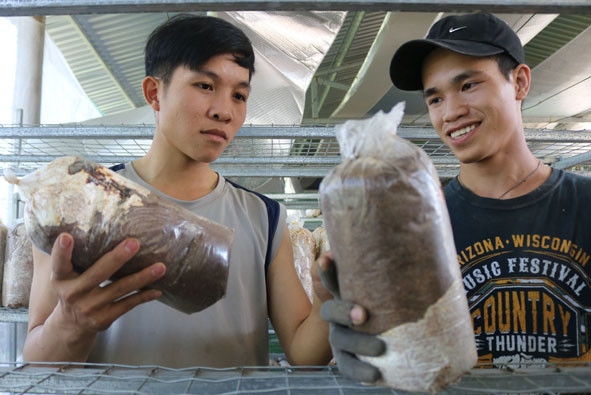 Hai anh Nghĩa và Hòa trao đổi kinh nghiệm trồng nấm.  